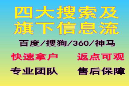 热门SEM运营公司案例深度剖析